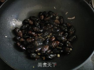 爆炒茧蛹的做法步骤：4