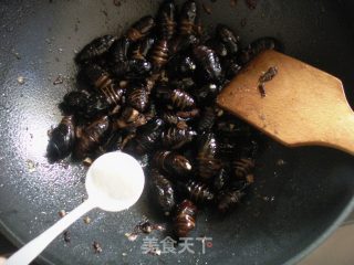 爆炒茧蛹的做法步骤：8