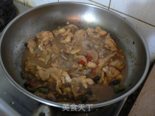 啤酒炖菌菇鸡块的做法步骤：15