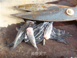 糟溜鱼片的做法步骤：2