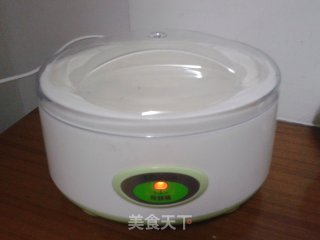 香甜酸奶（酸奶机制作）的做法步骤：3
