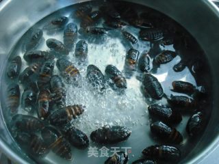 干煸茧蛹的做法步骤：1