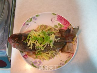 清蒸鲈鱼的做法步骤：7