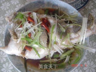 清蒸鲈鱼的做法步骤：2