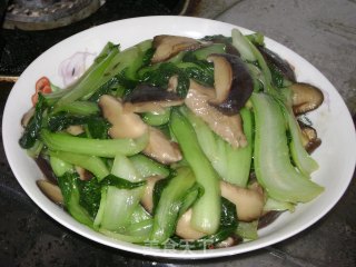 蚝油香菇油菜的做法步骤：9
