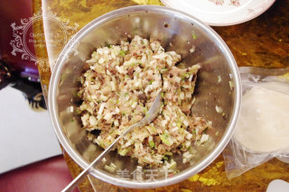 韭黄白菜猪肉饺的做法步骤：4
