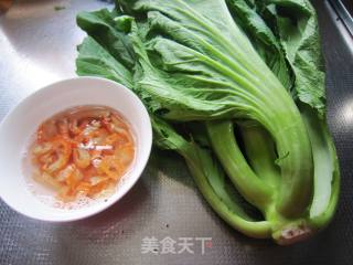 海米盖菜的做法步骤：1