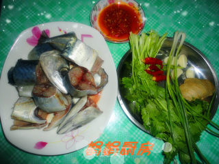 香煎酱烧鲅鱼！的做法步骤：1