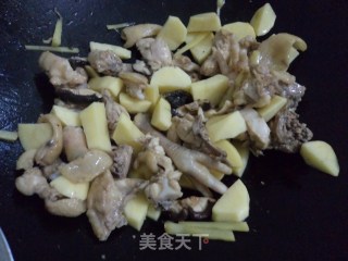 土豆香菇焖鸡的做法步骤：5