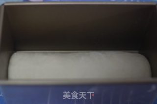 抹茶蜜豆双色土司的做法步骤：5