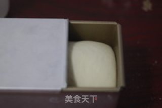 抹茶蜜豆双色土司的做法步骤：6