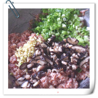 香菇猪肉包的做法步骤：6