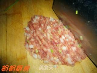 迷你鲜肉小蒸包和小煎包！的做法步骤：2