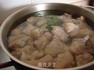 糟猪脚爪的做法步骤：5