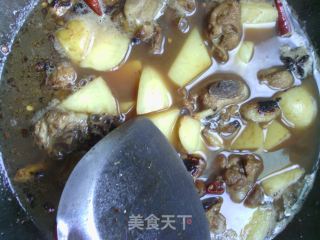 百变土豆——啤酒鸭的做法步骤：10
