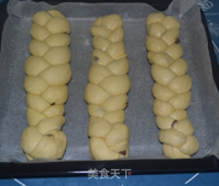 鲜奶油辫子包的做法步骤：5