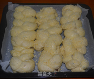 鲜奶油辫子包的做法步骤：7