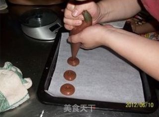 自制趣多多饼干的做法步骤：5