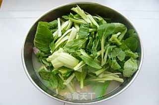 鸡毛菜排骨汤的做法步骤：7