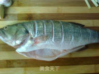 清蒸鲈鱼的做法步骤：2