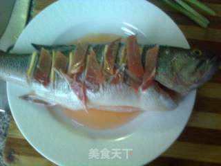 清蒸鲈鱼的做法步骤：8