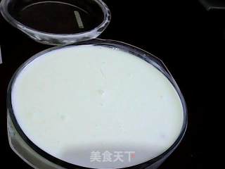樱桃酸奶的做法步骤：6