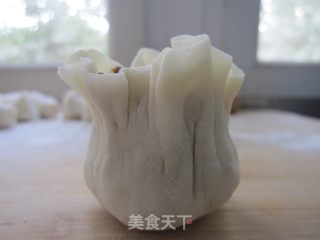 薄皮烧麦的做法步骤：9
