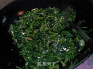 蒜香空心菜的做法步骤：5