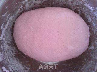 染色水饺——苋菜汁儿水饺的做法步骤：4