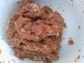 染色水饺——苋菜汁儿水饺的做法步骤：6