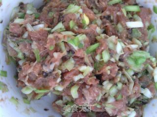 染色水饺——苋菜汁儿水饺的做法步骤：11