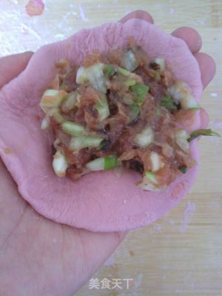 染色水饺——苋菜汁儿水饺的做法步骤：12