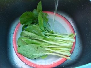 淡雅爽口的毛豆白菜汤的做法步骤：1