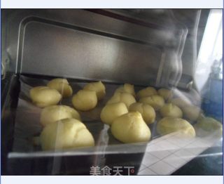 泡芙泡芙我爱你~奶油泡芙的做法步骤：6