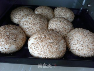 芝麻早餐包的做法步骤：7