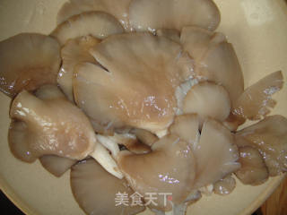 油菜平菇猪肉包的做法步骤：8
