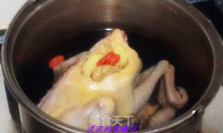 DIY---清炖鸽子汤的做法步骤：1