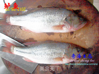 我的一招半式——《鲈鱼解剖及应用1#》的做法步骤：1