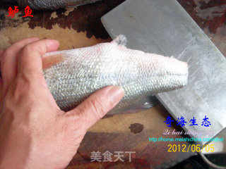 我的一招半式——《鲈鱼解剖及应用1#》的做法步骤：2