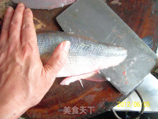 我的一招半式——《鲈鱼解剖及应用1#》的做法步骤：6