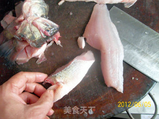 我的一招半式——《鲈鱼解剖及应用1#》的做法步骤：17