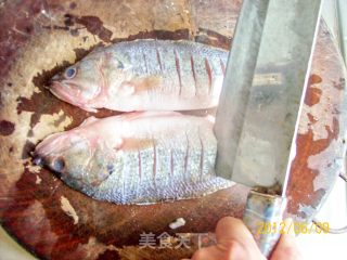 【一鱼多吃】——葱姜剁椒蒸鲈鱼的做法步骤：1