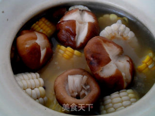 美味进补汤——双色玉米排骨汤的做法步骤：12