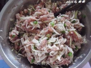 葫芦瓜肉馅饺子的做法步骤：9