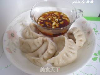 葫芦瓜肉馅饺子的做法步骤：13