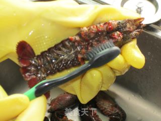 红烧小龙虾的做法步骤：4