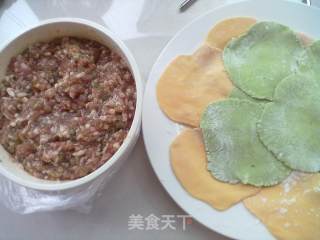 彩色水饺的做法步骤：9