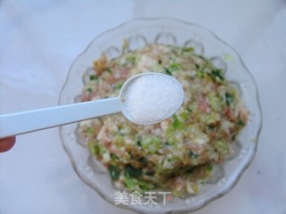 最香不过肉包子——葱香大肉小笼包的做法步骤：5