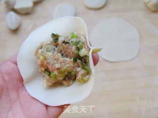 最香不过肉包子——葱香大肉小笼包的做法步骤：10