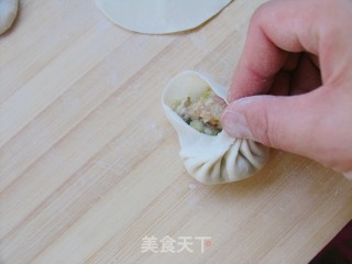 最香不过肉包子——葱香大肉小笼包的做法步骤：12